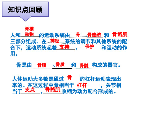 16.1先天性行为和后天学习行为