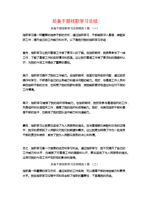 后备干部挂职学习总结2篇