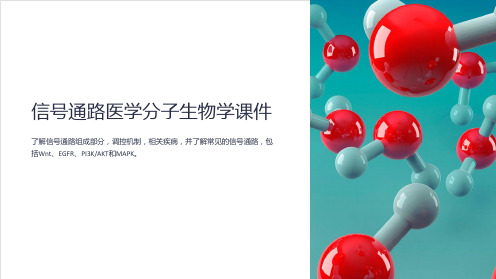 信号通路医学分子生物学课件