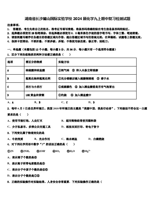 湖南省长沙麓山国际实验学校2024届化学九上期中复习检测试题含解析