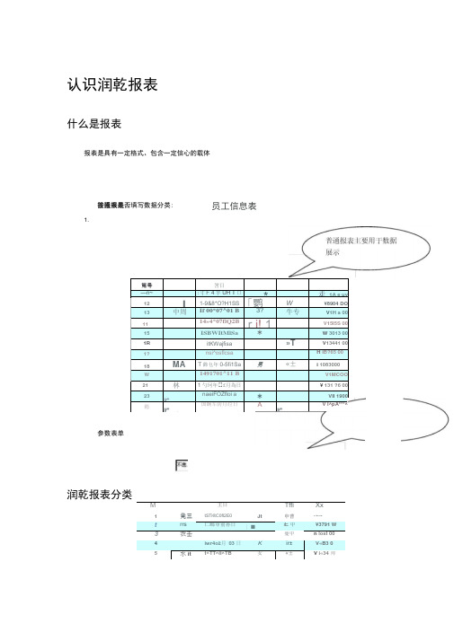 润乾报表开发