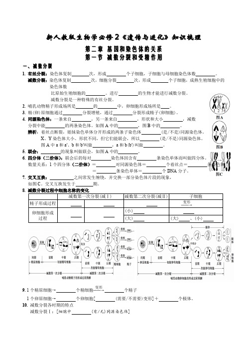 (新教材人教2019版必修2)高中生物必背知识点 第二章 基因和染色体的关系(填空版+背诵版)