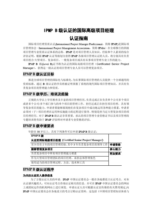 IPMP B级认证的国际高级项目经理认证指南