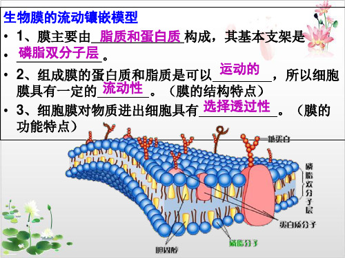 人教生物必修第物质跨膜运输的方式_-ppt精品课件