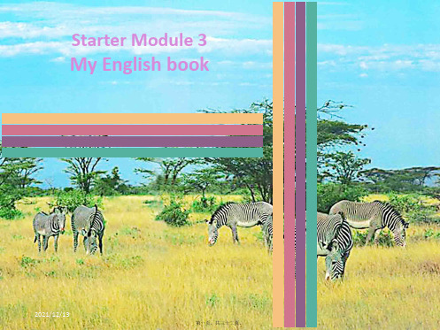 七年级英语上册startermodule3myenglishbook同步