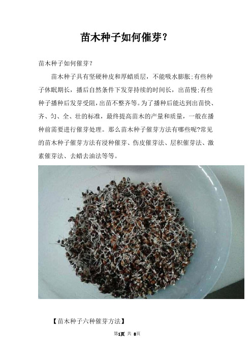 苗木种子如何催芽？