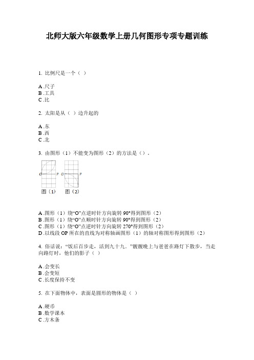 北师大版六年级数学上册几何图形专项专题训练