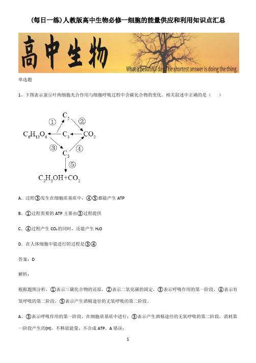 人教版高中生物必修一细胞的能量供应和利用知识点汇总