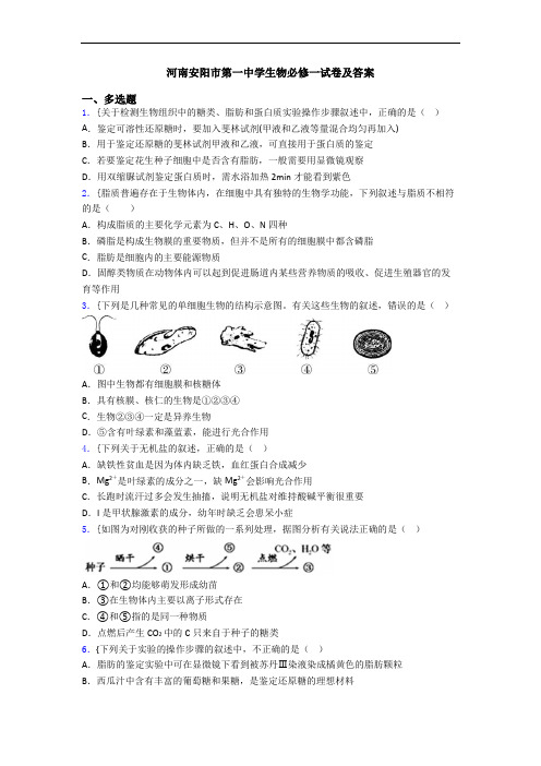 河南安阳市第一中学生物必修一试卷及答案