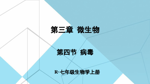 七年级生物学上册教学课件《病毒》