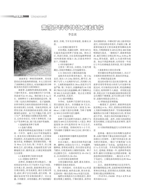 黄菠萝科学种植方法浅探