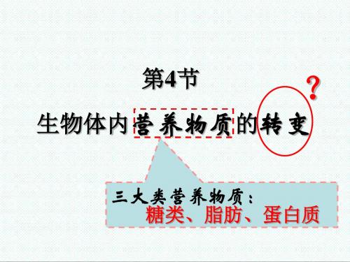 高一生物课件-沪科版高一生命科学4.4《生物体内营养物