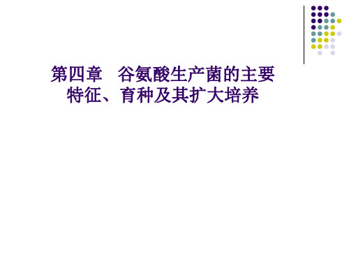 第四章谷氨酸生产菌的主要特征、育种及其扩大培养