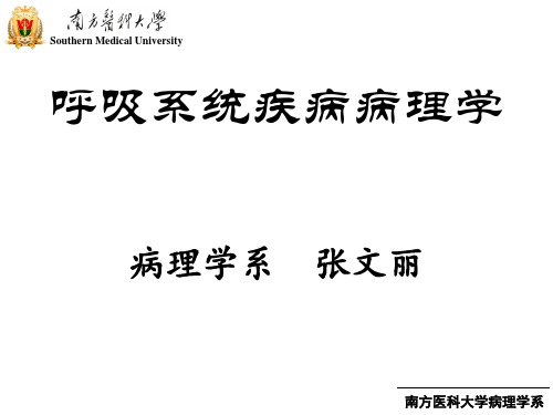 呼吸系统肺炎、慢支、肺心病