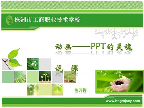 最新全国创新杯计算机说课大赛一等奖课件动画——PPT的灵魂