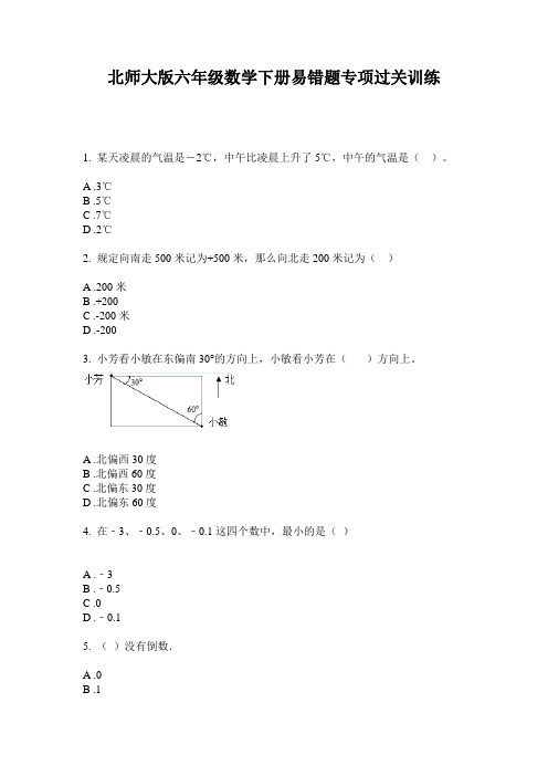 北师大版六年级数学下册易错题专项过关训练