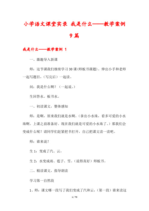 小学语文课堂实录 我是什么——教学案例9篇