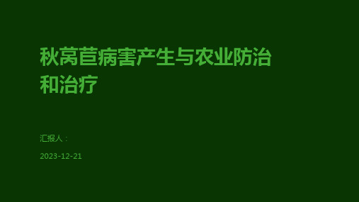 秋莴苣病害产生与农业防治和治疗