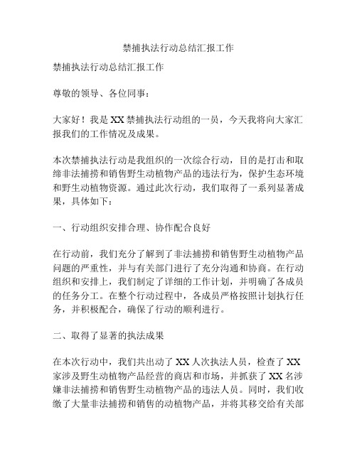 禁捕执法行动总结汇报工作