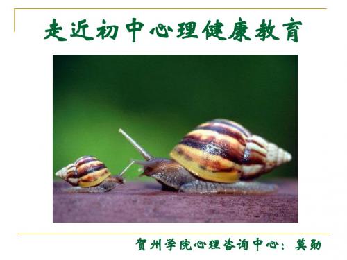 走近初中心理健康教育 公共课课件