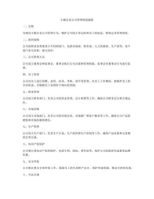 小微企业公司管理制度最新