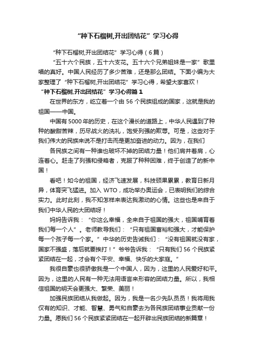 “种下石榴树,开出团结花”学习心得