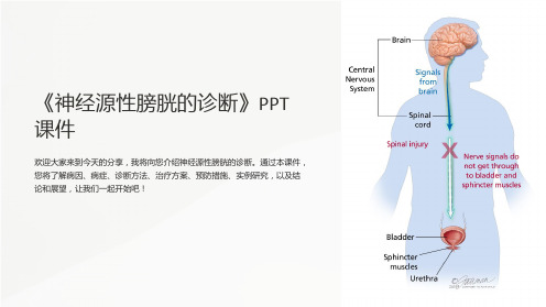 《神经源性膀胱的诊》课件