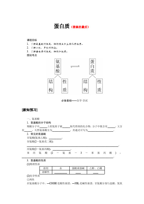 高中化学人教版 选择性必修三教案讲义：蛋白质