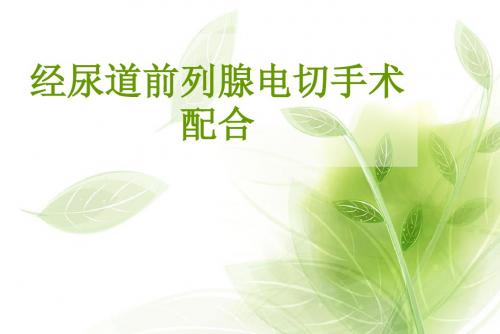 经尿道前列腺电切术PPT课件