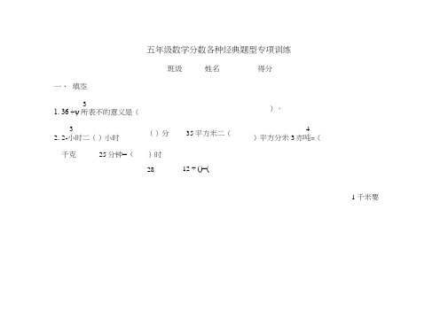 五年级数学分数各种经典题型易错题专项训练