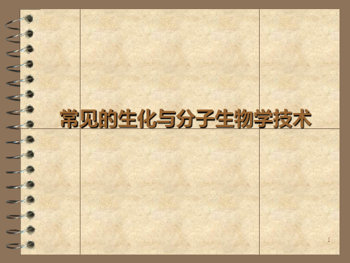 常见的生化与分子生物学技术大串讲PPT课件