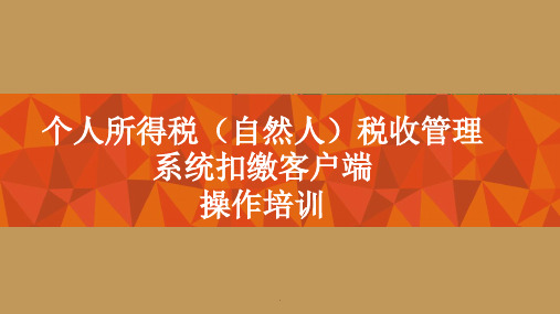 个税自然人扣缴客户端(税局)