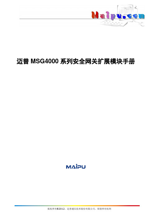 迈普MSG4000系列安全网关扩展模块手册