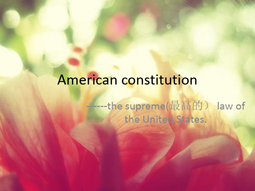 American constitution美国宪法