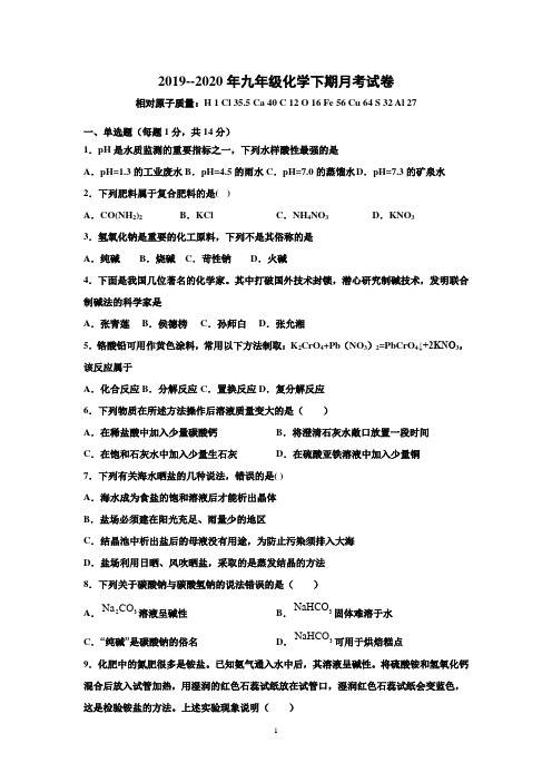 2019--2020年九年级化学下期月考试卷