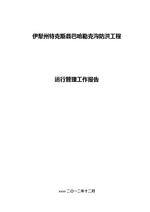 防洪运行管理报告