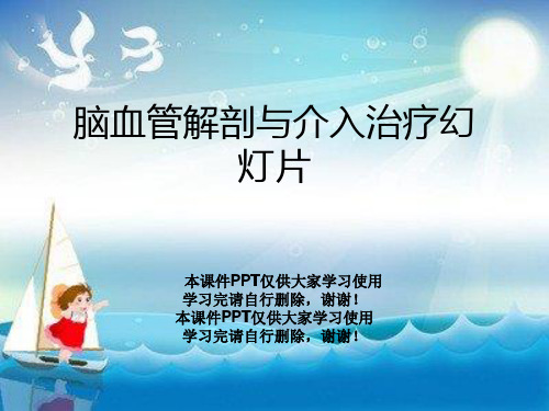 脑血管解剖与介入治疗幻灯片