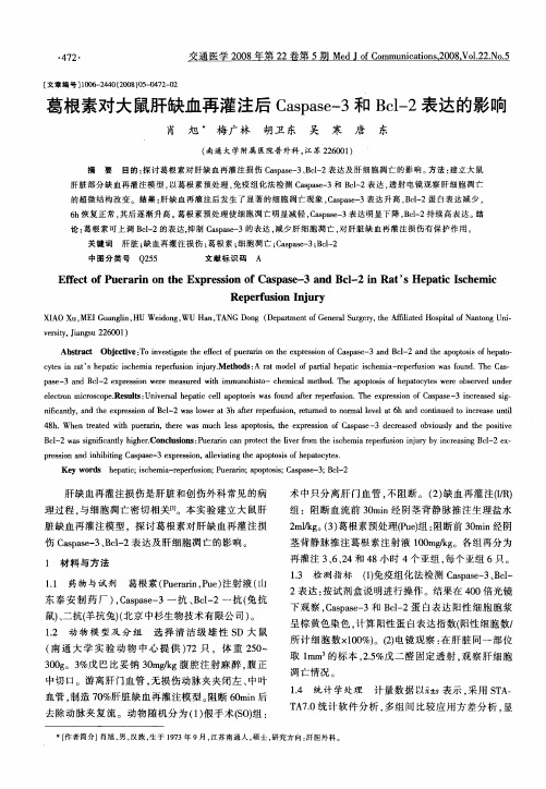 葛根素对大鼠肝缺血再灌注后Caspase-3和Bcl-2表达的影响