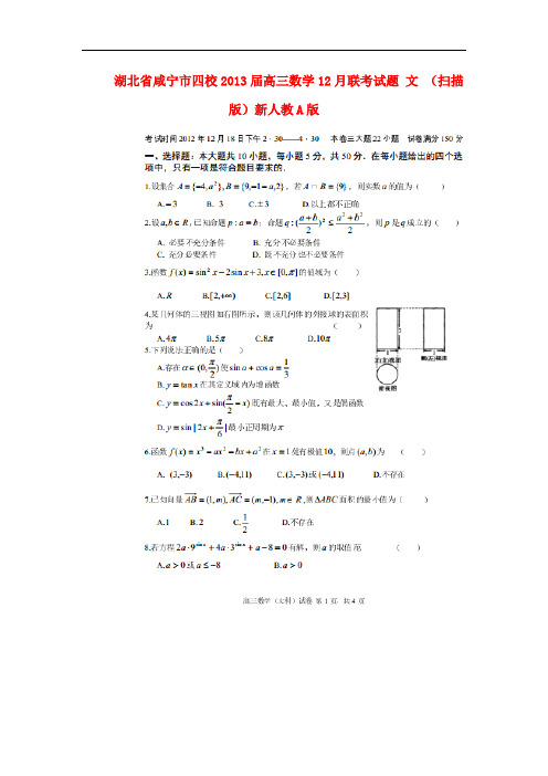湖北省咸宁市高三数学12月联考试题 文 (扫描版)新人教A版