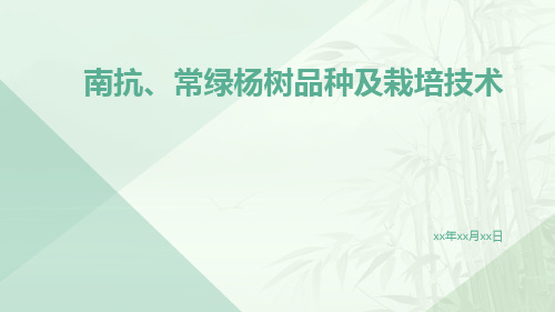 南抗、常绿杨树品种及栽培技术