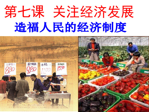 《造福人民的经济制度》