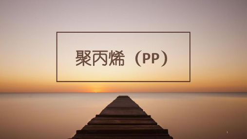 聚丙烯ppt课件