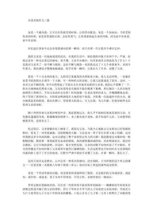 至爱亲情作文三篇精选