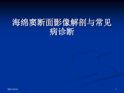 海绵窦断面影像解剖