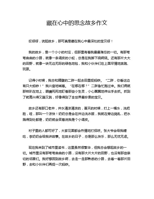 藏在心中的思念故乡作文