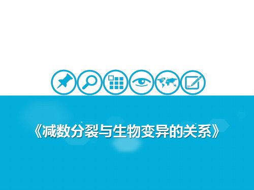 细胞的生命历程 减数分裂与生物变异的关系 课件 2021届高考一轮复习生物