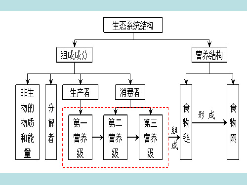 高考生物生态系统的能量流动考点考题考向透析  (共29张PPT)