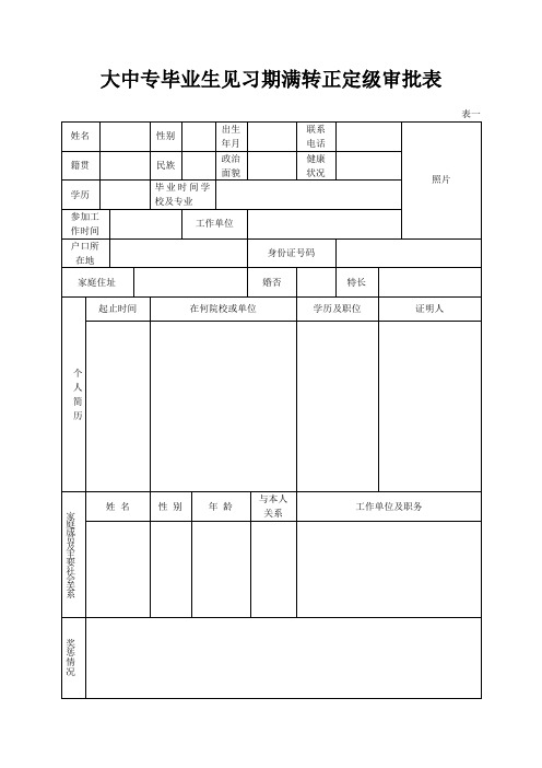 大中专毕业生见习期满转正定级审批表