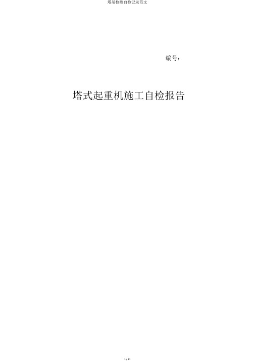 塔吊检测自检记录范文