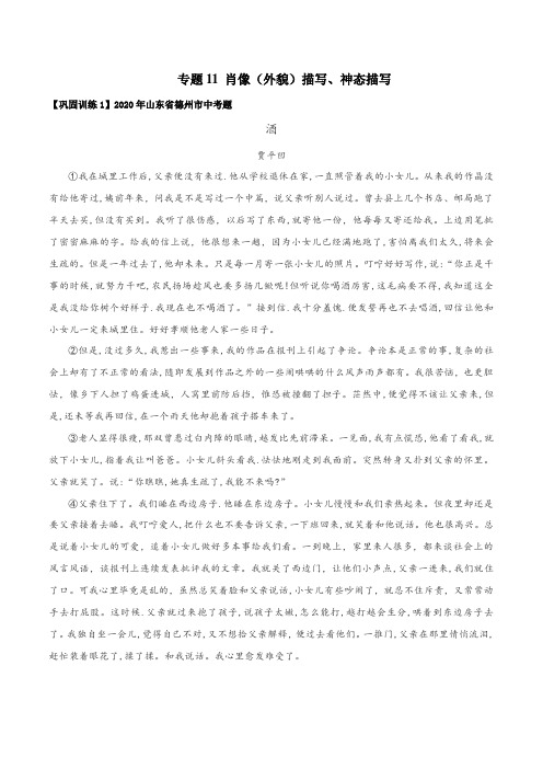 初中语文能力提升训练-11 肖像(外貌)描写、神态描写(习题)(解析版)